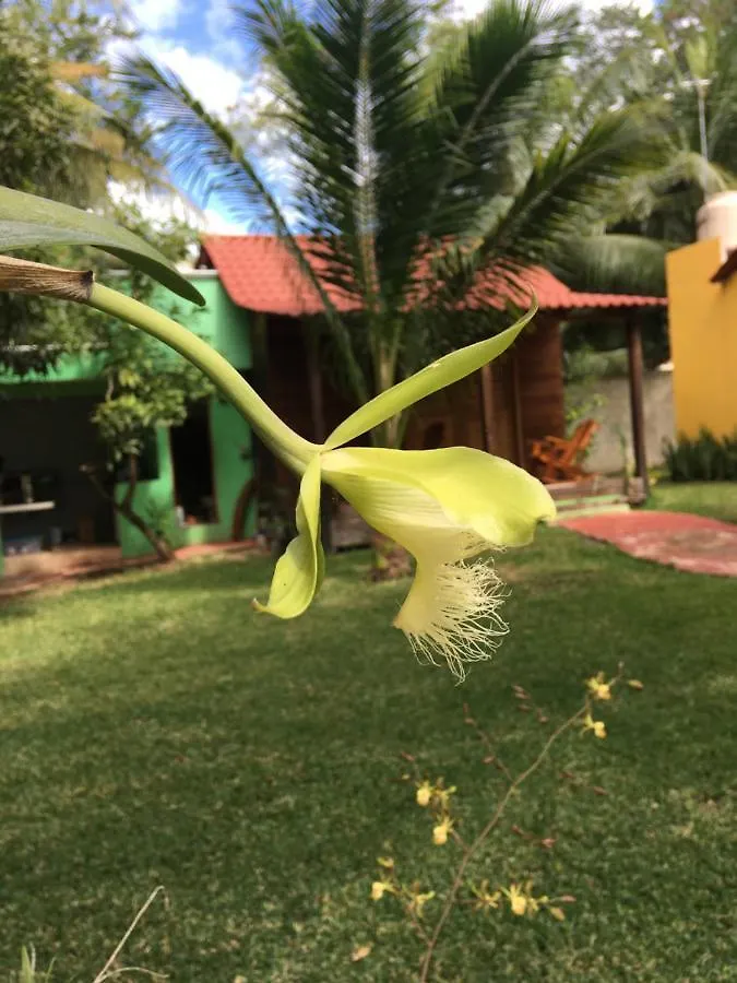 Alojamento de Turismo Selvagem Cabanas La Fortuna Bacalar
